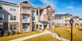 Walker Steele Creek Gallery 4