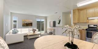 Sycamore Village Gallery 1