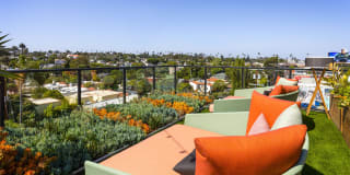 The Charlie Mar Vista Gallery 38