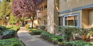 Modern 2-Bedroom Townhome in Peaceful Redwood Community Gallery 1