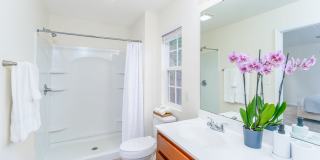 131 High Bluff Circle Gallery 14