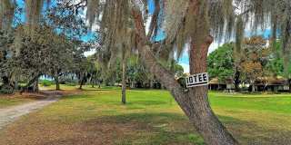 712 WHITE PINE TREE ROAD Gallery 56