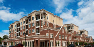 Sugar Flats Gallery 1