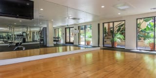 The Piero Gallery 20