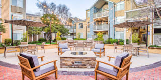 Woodland Meadow Gallery 19