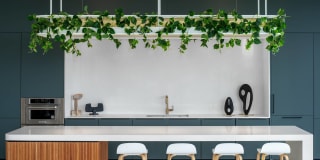 The Boulevard Gallery 24