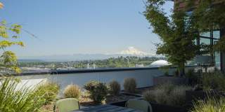 Rook Apartments Gallery 34