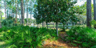 864 SHORELINE Circle Gallery 20