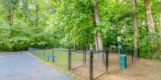 Affordable Housing - Brandemere Apartment Homes Gallery 6