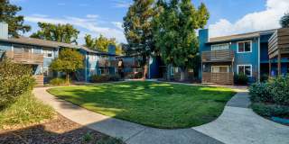 Pacific Commons Gallery 17