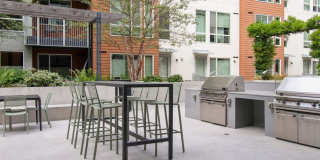 Avalon Dogpatch Gallery 25