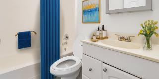 Charming 3 Bedroom in Pipers Meadow Gallery 11