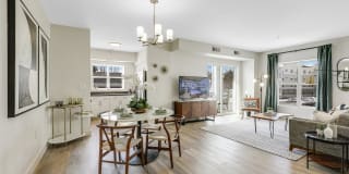 Sofi Danvers Gallery 3