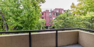 115 Moss Avenue Gallery 20