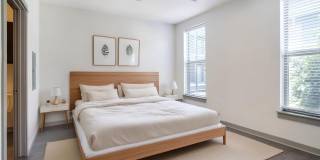 Thrive Argenta Gallery 82