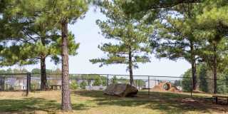 Amavi Twin Lakes Gallery 20