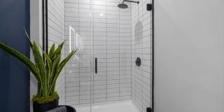 The Point Gallery 21