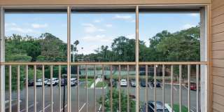 Pristine in PVB Gallery 23