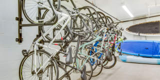 The Whittaker Gallery 45