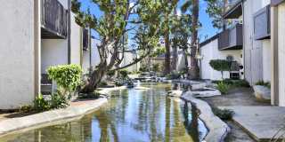 The Streams Gallery 11