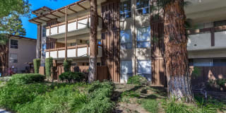 Emerald Victoria Apartments Gallery 3