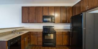 Catherine 36 Gallery 1