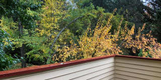 Nevada City Town-House Close to Downtown! Gallery 10