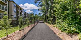 Sugarloaf Walk Gallery 26