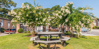 Georgian Oaks Apartments Gallery 23