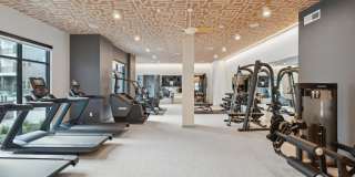 Alta Sunset Heights Gallery 16