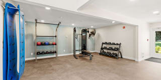 Avana at South Station Gallery 34