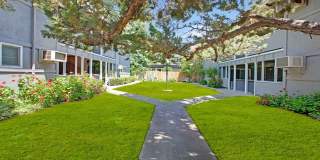 The Chloe Apartments Gallery 1