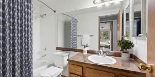 Ashford Apartments Gallery 9