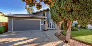 Single Family Home in the Heart of Santa Clara Gallery 1