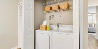 Lexington Palms at the Forum Gallery 10