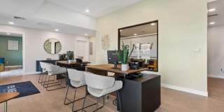 ReNew Biltmore Gallery 25