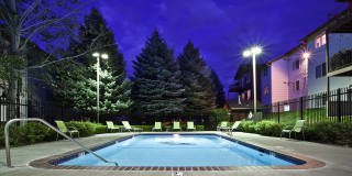 Whimsical Pig Gallery 11