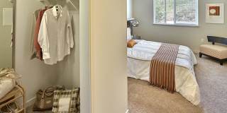 The Lodge Gallery 31