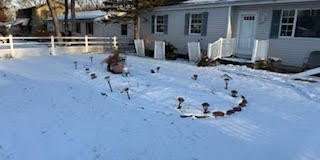 2432 Woodland Road Gallery 1