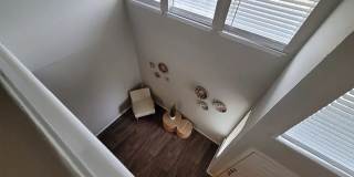 Ivy Plains at Brooks Ivy Plains at Brooks Gallery 13