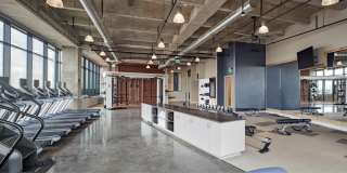The Dillon Gallery 11