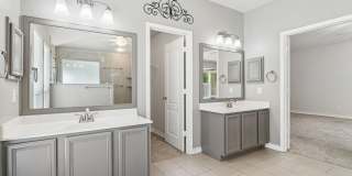 1303 BLUFF FOREST Gallery 21