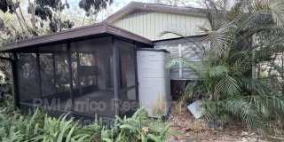 141 Fernery Rd Gallery 13
