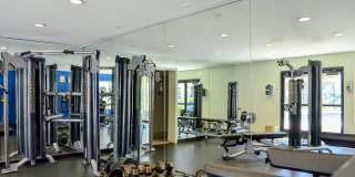 La Jolla Canyon Gallery 17