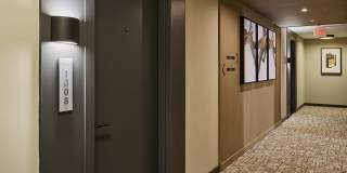 Sage Sage Gallery 19