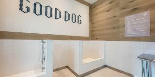 Northhaven Gallery 16