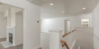 38938 Malva Rosa Drive Gallery 9