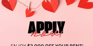 Metro 710 Apartments Gallery 1