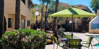 Sunflower Apartments Gallery 1