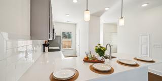 Turnberry Park Gallery 107